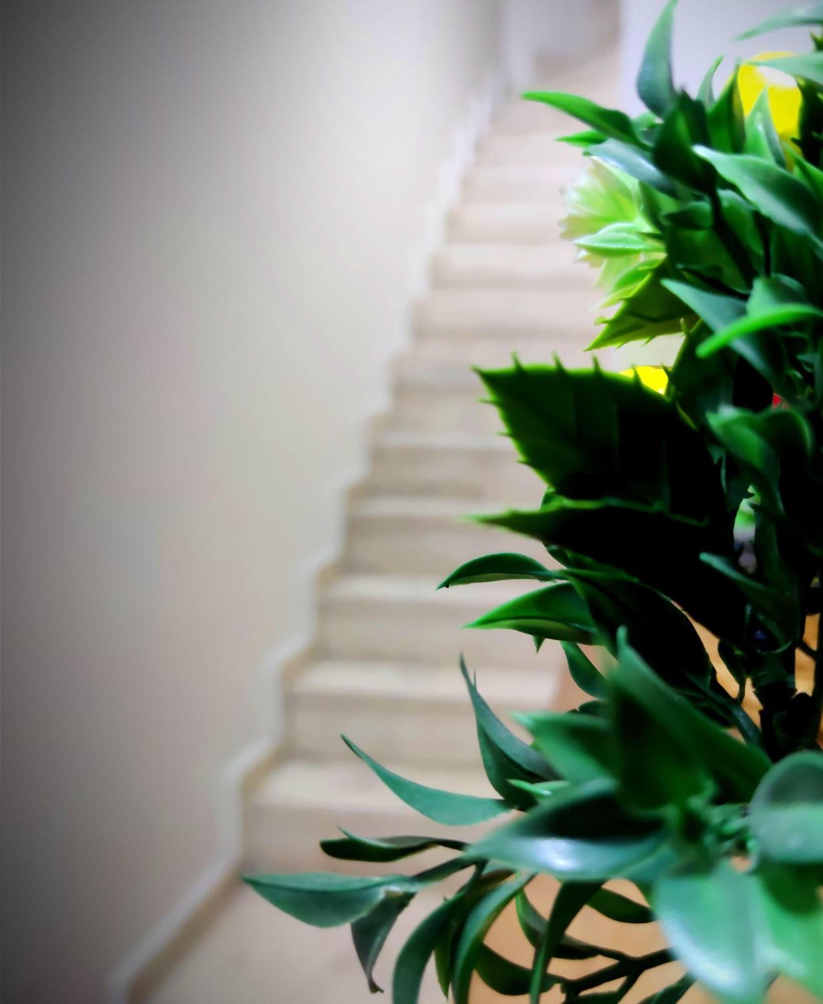اسطنبول Mimoza Istiklal Apart Hotel الغرفة الصورة
